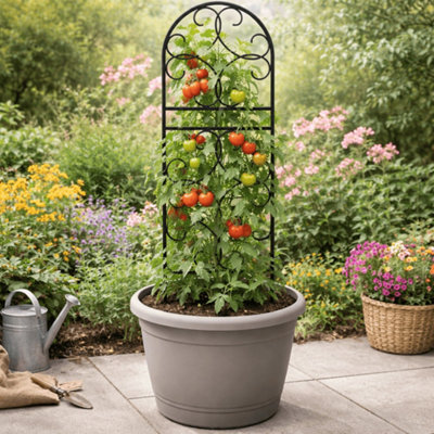 Panacea Scroll Pot Trellis - Durable Black Steel Plant Support For Pots, Containers & Climbing Vines - Image 5