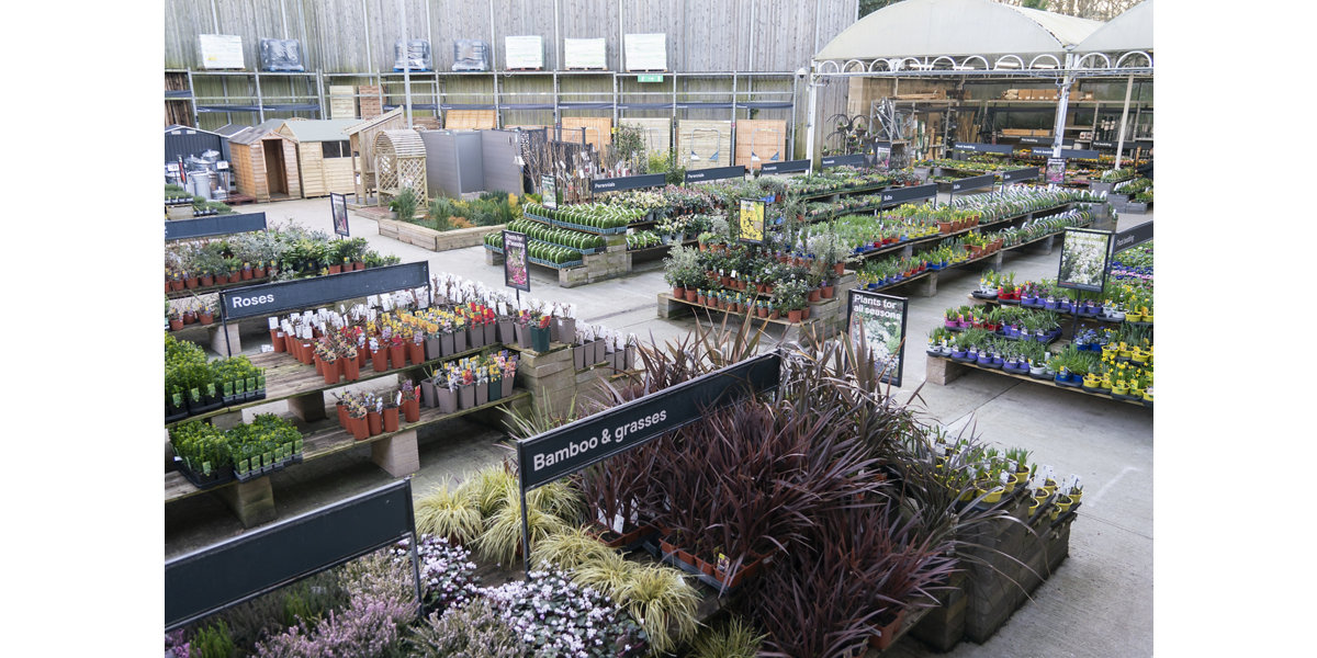 Artificial outdoor deals plants b&q