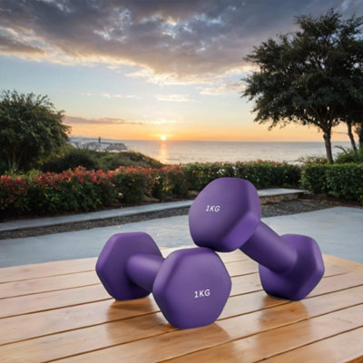 LEDREM Set Of 2 Neoprene Hex Dumbbells2 X 1 KgWith Dumbbells BarsHome TrainingPurple from B&Q