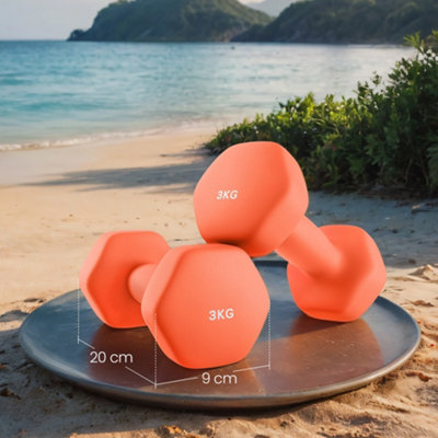 LEDREM Dumbbells Set Of 2 2 X 3Kg Dumbbells Set Dumbbells Hexagon Neoprene Coating Strength Training from B&Q