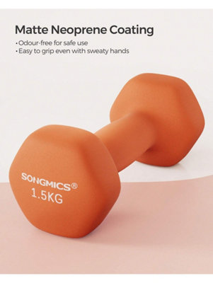 LEDREM Set Of 2 DumbbellsHexagonal Dumbbells PairHome WorkoutFitness Training Exercise from B&Q