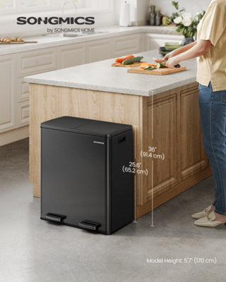 Songmics Dual Rubbish Bin2 X 30L Recycling Bin With 15 Rubbish Bags2-Compartment Metal Pedal Bin With Lids And PlasticBlack from B&Q