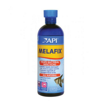 Api Melafix Freshwater Fish Bacterial Infection Remedy 473 Ml Bottle from B&Q