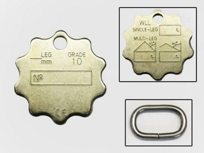 SecureFix Direct Lifting Chain Identification Tag And Link (Inspection Spare Grade 100) from B&Q