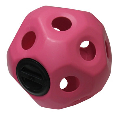 SecureFix Direct Hay Ball Horse Feeder ToyPink (Hanging Treat Slow Feeding Stable) from B&Q