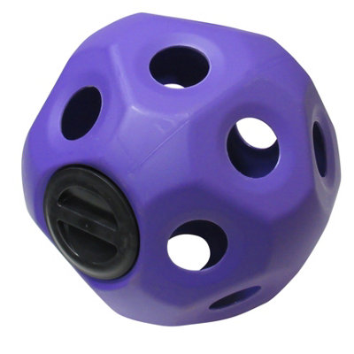 SecureFix Direct Hay Ball Horse Feeder ToyPurple (Hanging Treat Slow Feeding Stable) from B&Q