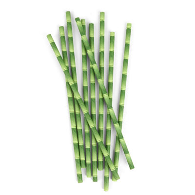 Kikkerland Green Bamboo Design Paper Drinking Straws 144 Pack from B&Q
