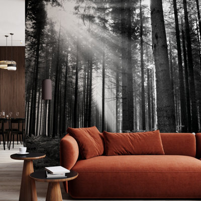 Origin Murals Monochrome Forest Matt Smooth Paste The Wall Mural 300Cm Wide X 240Cm High from B&Q