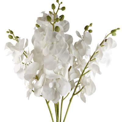 PegdevPdlPack Of 6 X 100Cm Artificial White Phalaenopsis Orchid StemElegant Faux Flowers from B&Q