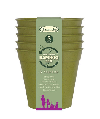 Haxnicks Sage Green Bamboo Plant Pot (Dia) 15Cm(H)15CmPack Of 5 from B&Q