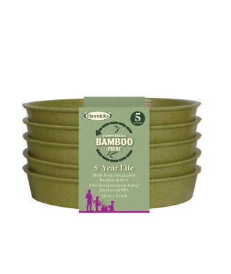 Haxnicks Sage Green Saucer (Dia)15CmPack Of 5 from B&Q