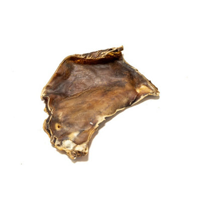 Pet Treats Wholesale Camel Skin Plates (1Kg) Natural Long Lasting Dental Chew from B&Q