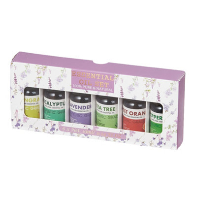Thehotsale 6 Bottles 10Ml Aromatherapy Diffuser Scented Essential Oil Set 7Cm(H)Purple from B&Q