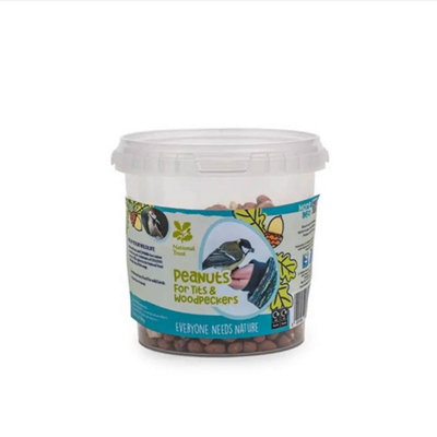 PegdevPdlNt Range Kids Peanuts For Sparrows & WoodpeckersHigh Protein Bird FeedRefillableSupports Wildlife500G from B&Q