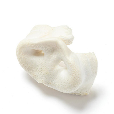 Pet Treats Wholesale White Large Puffed Pig Snouts (10Pcs Bag) 100% Natural Dog Treats from B&Q