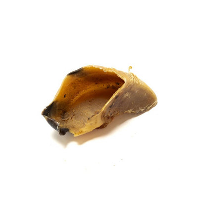 Pet Treats Wholesale Beef Hooves "hoofs" (30Pcs) 100% Natural Long Lasting Dog Treats from B&Q