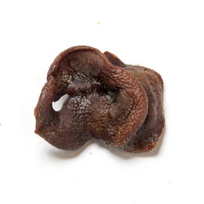 Pet Treats Wholesale Pig Snouts (500G) Natural Hypoallergenic Dog Chew Treat from B&Q