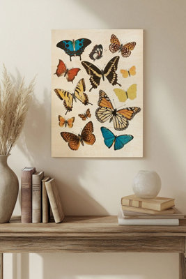 B&Q -  Collected Flutter Ii Wood Art Print Plywood Wall Art