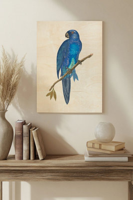 galleryply Blue Parrots Iii Wood Art Print Plywood Wall Art from B&Q