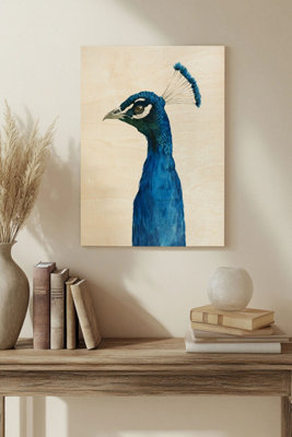 B&Q -  Peacock Portrait Ii Wood Art Print Plywood Wall Art
