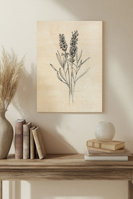 B&Q -  Field Flower Ii Wood Art Print Plywood Wall Art