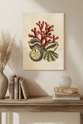 B&Q -  Coral Medley Ii Wood Art Print Plywood Wall Art