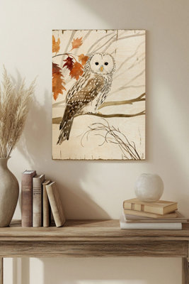 B&Q -  Harvest Owl I Wood Art Print Plywood Wall Art
