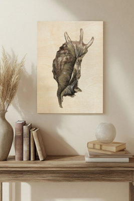 B&Q -  Watercolor Seashell Iv Wood Art Print Plywood Wall Art