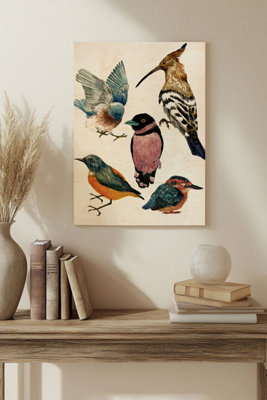 B&Q -  Bird Collection I Wood Art Print Plywood Wall Art
