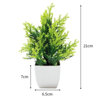 Found it product image.