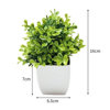 Found it product image.