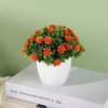 Found it product image.