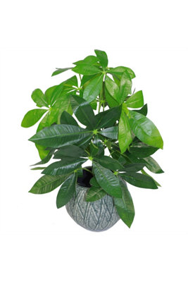 Dyzi Artificial Plant Wired Stems 50Cm Potted from B&Q