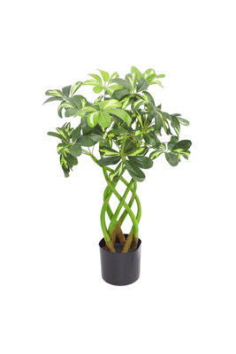 Dyzi Green 70Cm Leaf Artificial Arboricola Evergreen Plant from B&Q