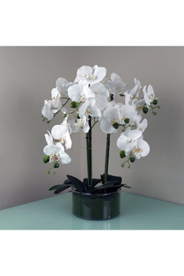 Dyzi 50Cm Artificial Orchid With White Glass Planter from B&Q