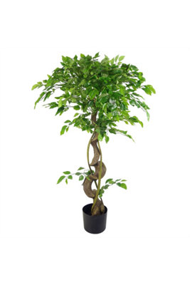 Dyzi 120Cm Twisted Ficus Tree In Weighted Pot from B&Q