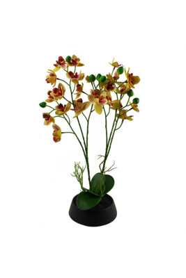 Dyzi 43Cm Artificial Orchid In Ceramic Planter from B&Q