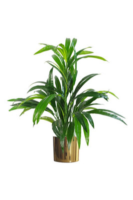 Dyzi 65Cm Artificial Plant With Botanically Accurate Foliage from B&Q