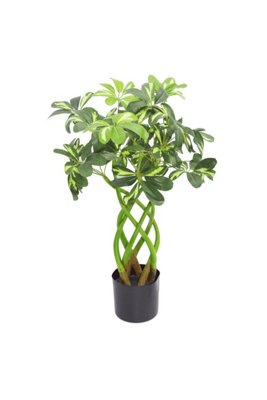 Dyzi 70Cm Artificial Arboricola Evergreen PlantGolden Capella from B&Q