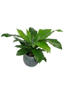 Dyzi 60Cm Artificial Bird's Nest Fern (Asplenium Nidus) from B&Q