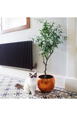 Dyzi 120Cm Artificial Olive Tree With Realistic Olives from B&Q