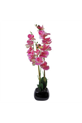 Dyzi Artificial Orchid In Black Ceramic Planter 70Cm from B&Q