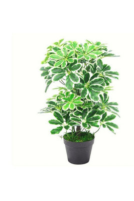 Dyzi Leaf Artificial Arboricola Evergreen Plant 55Cm Small Plant from B&Q