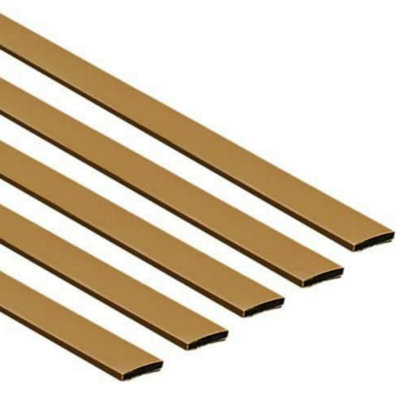 AFIT Eai Intumescent Strip Fire Only Door Seal Fd60 60 Minutes 20X4X1050mmBrownPack Of 5 / Single Door Pack from B&Q