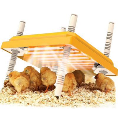  - Chick Brooder Heating Plate10 X 10 Incubator LampAdjustable Angle And Height Safe Incubators With Easy Clean For Chicks /