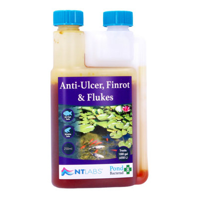 Nt Labs Bacterad Anti Ulcer Finrot Fluke Treatment 250Ml from B&Q
