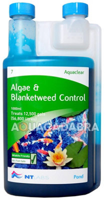 Nt Labs Pond Blanketweed Algae Control Pond 1L from B&Q