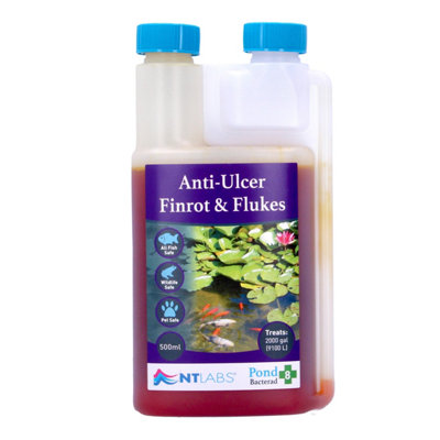 Nt Labs Bacterad Anti Ulcer Finrot Fluke Treatment 500Ml from B&Q