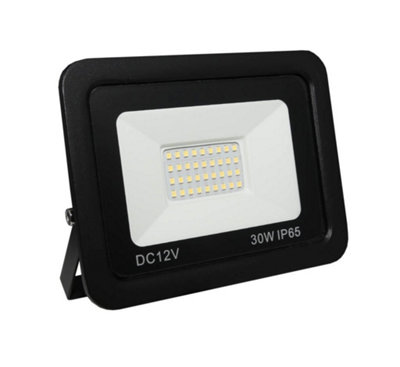 Lowenergie 12V Dc 30W Led Floodlight Day White 6500K from B&Q