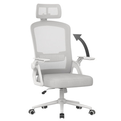 Onemill Ergonomic Office Chair With 90 Degrees Flip-Up Armrest And Lumbar Support For Home/office-Grey from B&Q